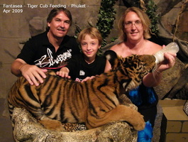 Fantasea Tiger Cub